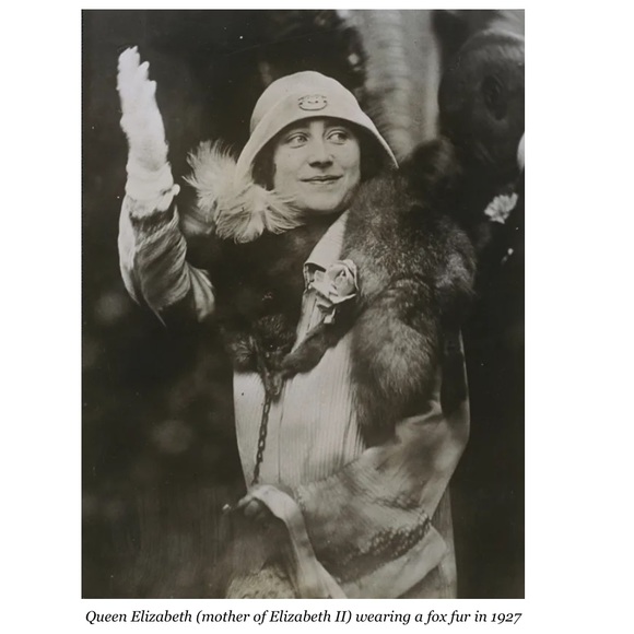 Genuine SILVER FOX FUR STOLE. - Picture 9 of 9